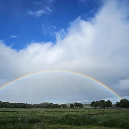 بيت للعطل El Alamo By Priorityvillas
