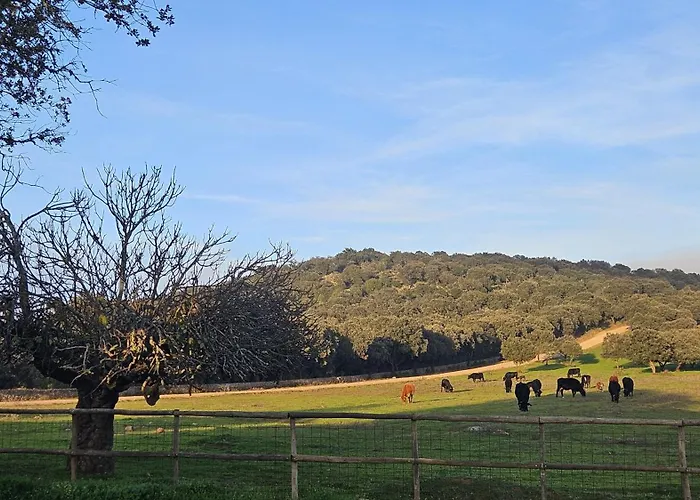 El Alamo By Priorityvillas *