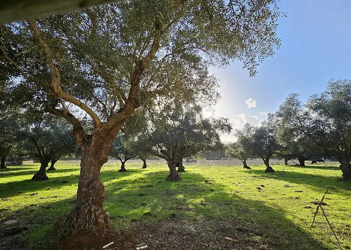 El Alamo By Priorityvillas Дом отдыха Баркаррота